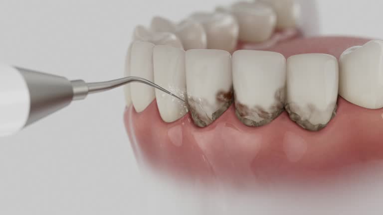 Reliable Dental contractor in Toccoa, GA by Dentist Open Now